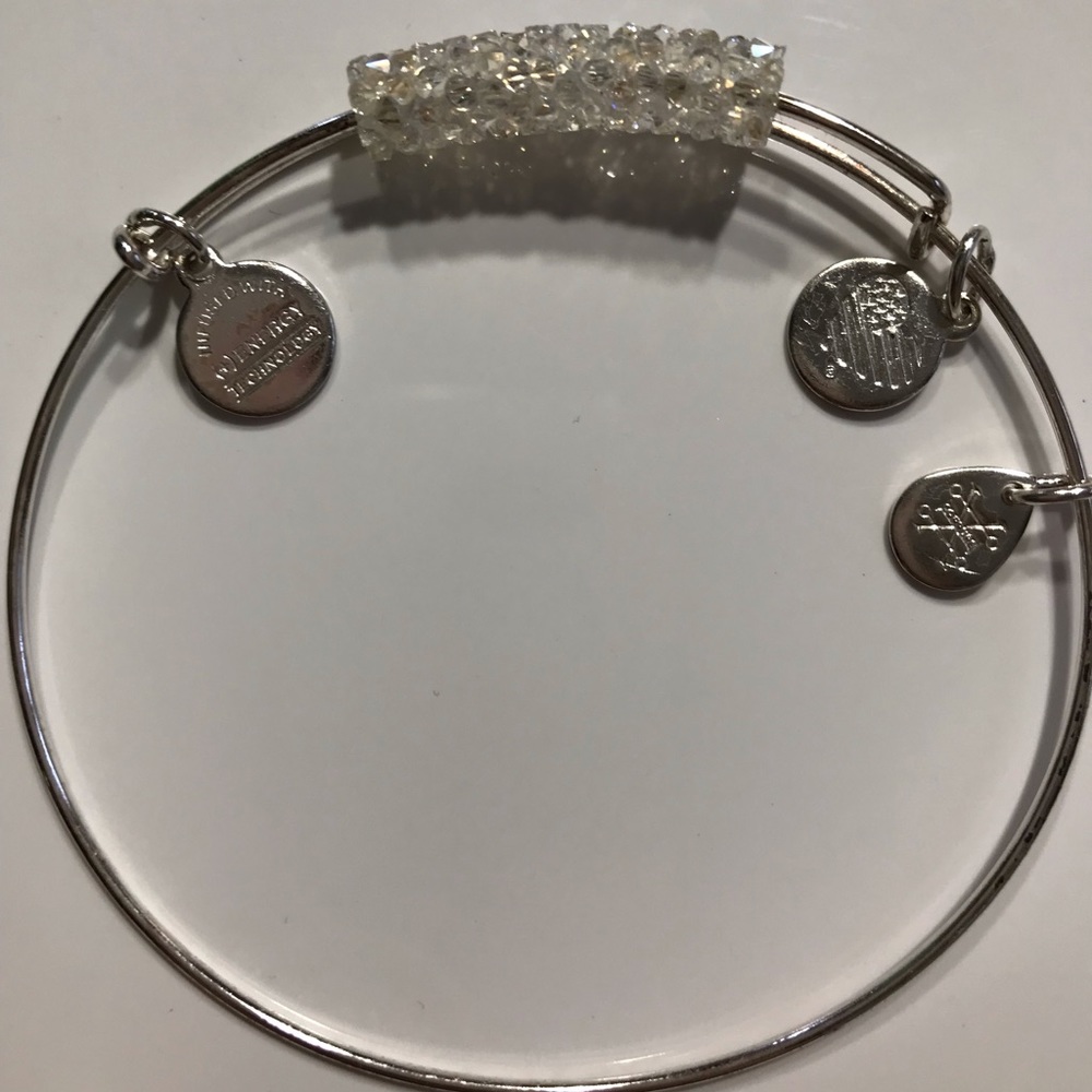 Alex and Ani Fine Rocks Bangle - Ice Storm